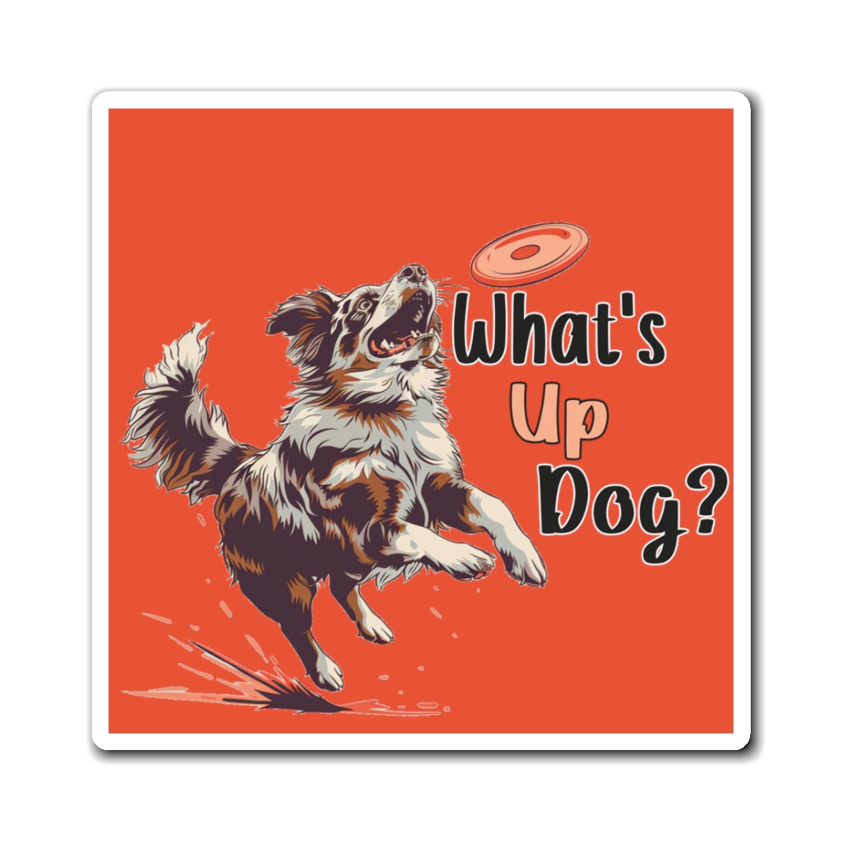 Australian Shepherd - What's Up Dog? Frisbee Disc Sports - Square Magnets