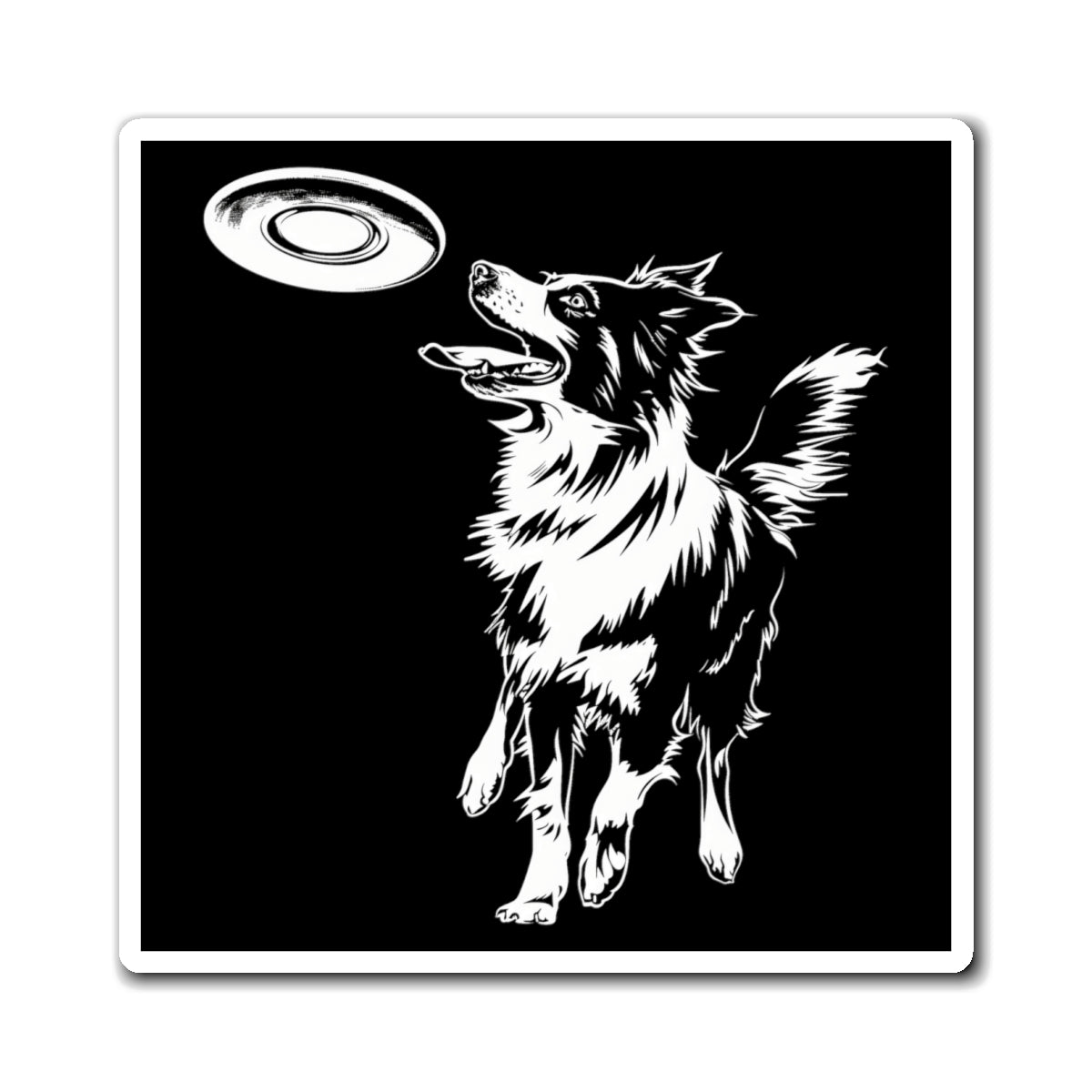 Border Collie with Frisbee Disc -  Square Magnets